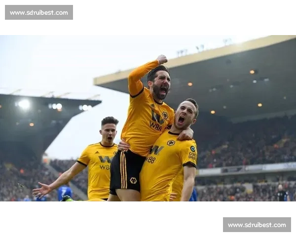 什鲁斯主场迎战南安联关键对决前瞻与走势解析焦点战术博弈与胜负看点