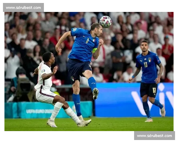 2012欧洲杯半决赛意大利力克德国巴洛特利双响定乾坤经典之夜